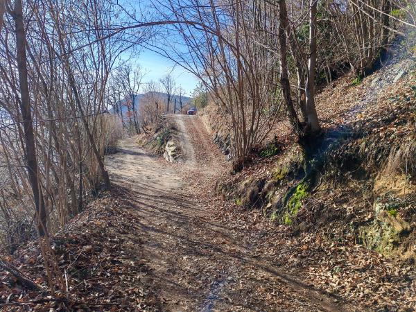 Path to the secluded Crandola holiday home
